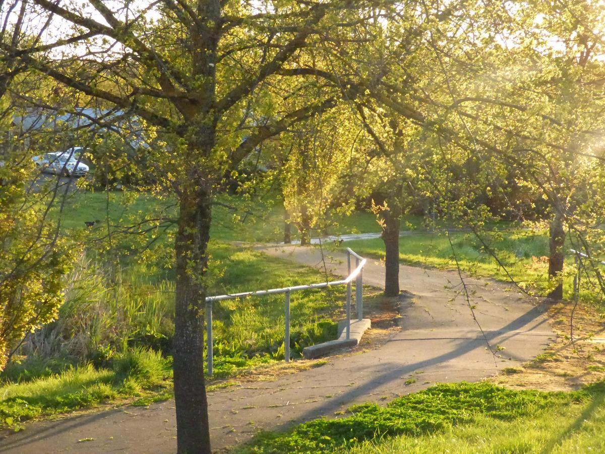 A Suite Spot In The Hills Mount Barker Exteriör bild
